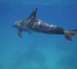 Unbeschreiblich schön!