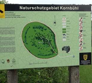 Naturschutzgebiet Kornbühl Salmendingen