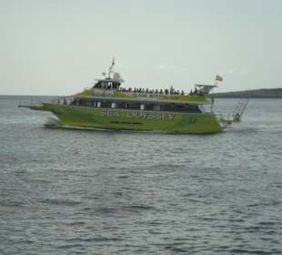Glasbodenschiff