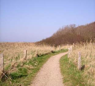 Naturschutzgebiet Geltinger Birk