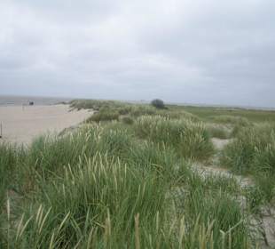 Hundestrand