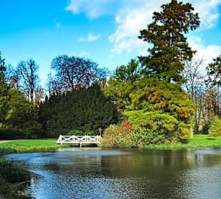 Парк Замка Ойтин. Золотая осень.