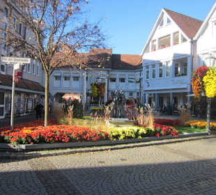 Chrysanthema Lahr