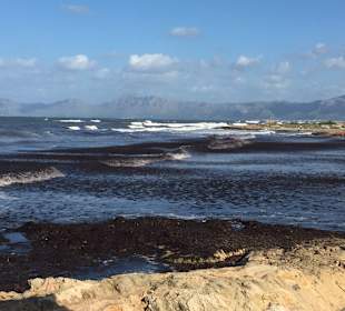 Strand in Can Picafort