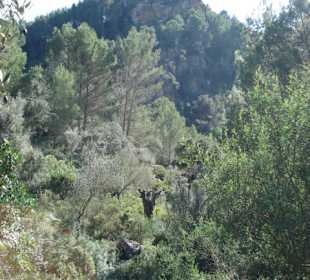 La Reseva - Parc de Natural