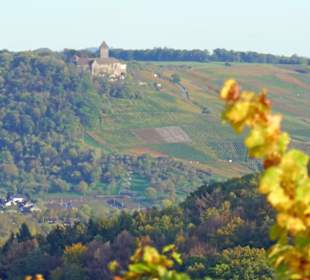 Ausblick zum Schloss Lichtenberg (Oberstenfeld)