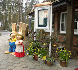 Biergarten  Waldkater