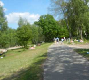 Naturschutzgebiet Boberger Niederung