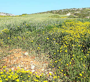 Nationalpark Kap Greco