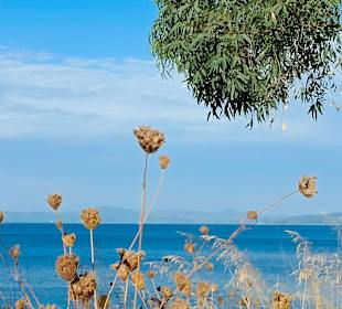 Wandern Sarti