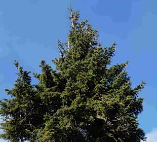 Riesengebirge/Karkonosze