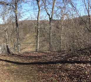 Burgruine Hohenstein