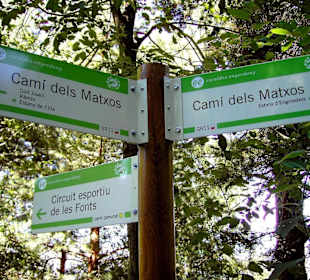 Auf dem Weg zur Refugi de Fontverd