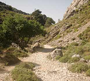 Weg