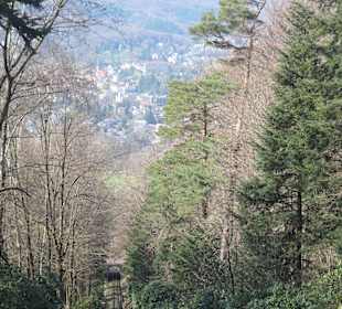 Fahrt mit der Merkurbergbahn zurück zur Talstation