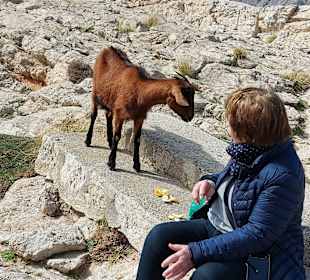 Cap Formentor