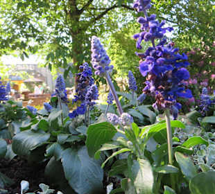 Herrliche Farbenpracht