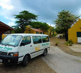 Christoffelpark: Peters Bus