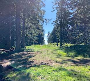 Wandern Feldberg