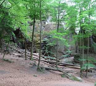 Wandern Bad Schandau