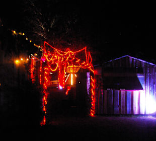 Lichterketten in den Bäumen