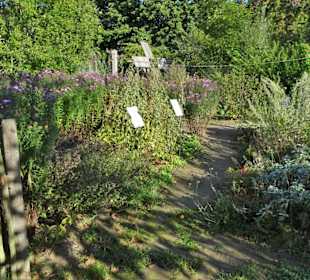 Bauerngarten im Freilichtmuseum am Kiekeberg