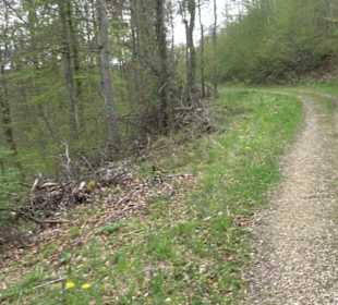 Premiumwanderweg Hochgebürzelt