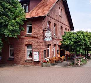 Seitlicher Blick