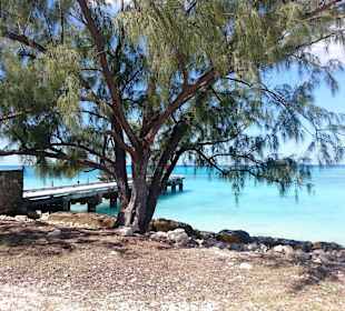 Im Bereich des National Parks