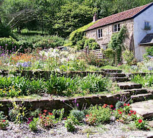 Chambercombe Manor Gardens