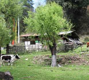 Restaurant Bunagu Tourist Cafeteria