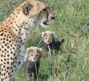 Sind die Kleinen nicht niedlich