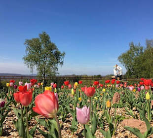 Erlebnispark Steinau