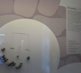Archäologisches Museum 