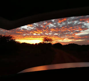 Frühpirsch bei Sonnenaufgang