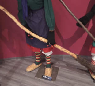 Fastnachtsmuseum Narrenschopf