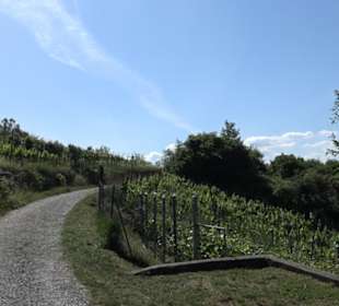 Früchtetrauf - Wurmlinger Kapellenwegle