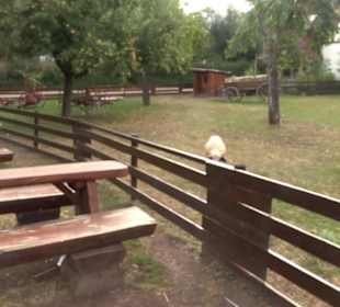 Erlebnispark Tripsdrill