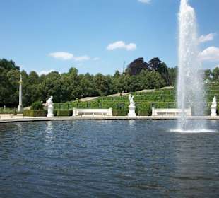 Die große Fontäne  im Brunnen.
