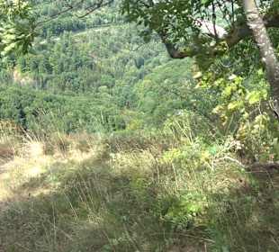 Wandertour Stahleck Greifenstein