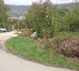 Calverbühl