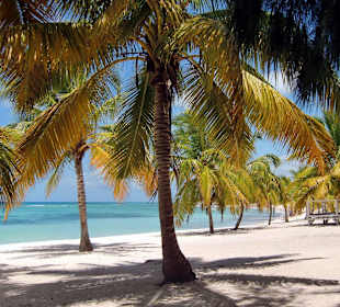 Isla Saona, Strand von Mano-Juan