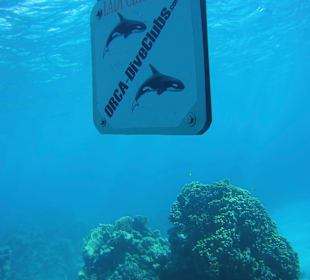 ORCA Dive Club Soma Bay 