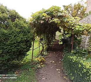 Burggarten