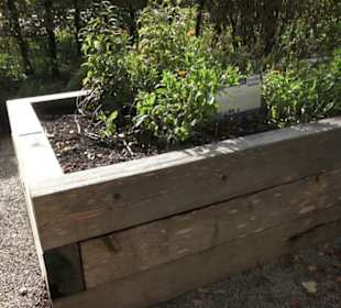 Kräutergarten