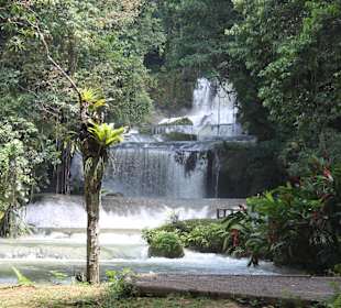 YS Falls