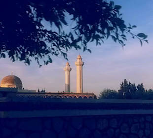 Monastir Bourguiba Mausoleum