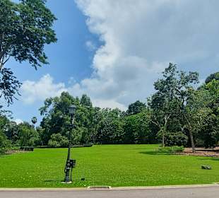 Botanischer Garten