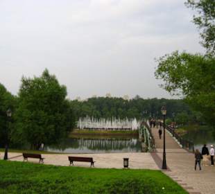 Park Carycyno