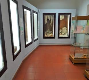 Rundgang durch die Museumsräume